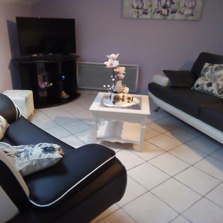 La Belle Endormie - Appartement A Fenetrange Zewnętrze zdjęcie
