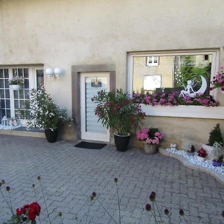 La Belle Endormie - Appartement A Fenetrange Zewnętrze zdjęcie