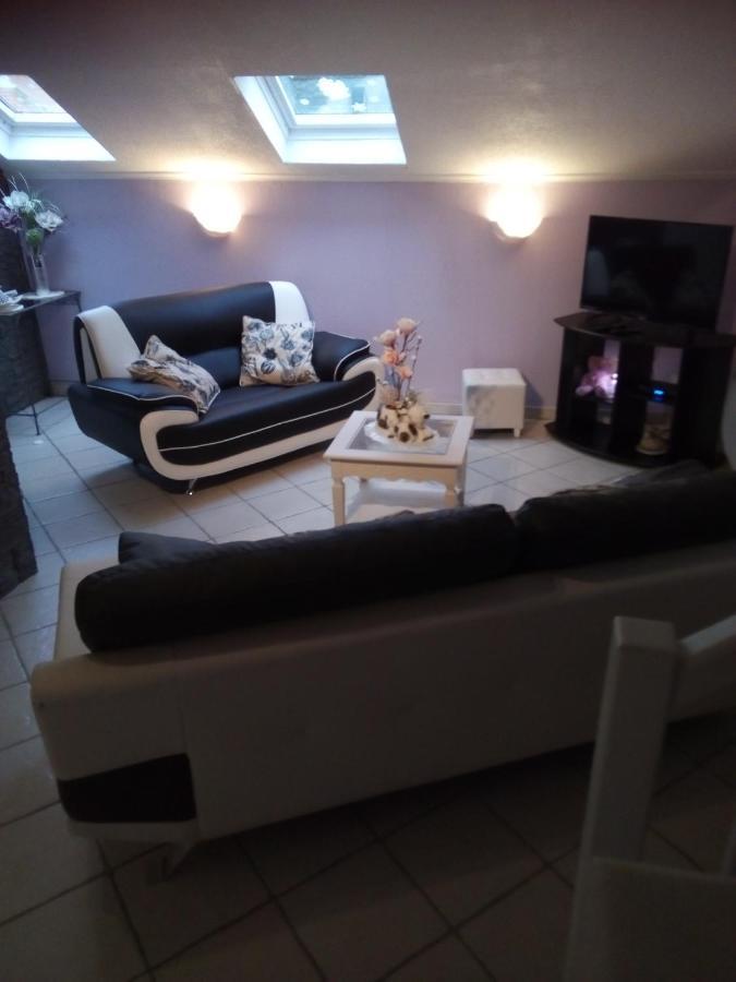 La Belle Endormie - Appartement A Fenetrange Zewnętrze zdjęcie