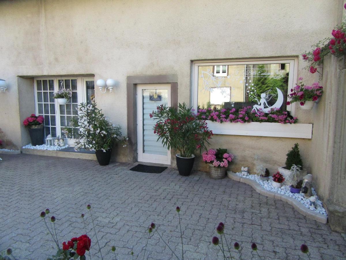 La Belle Endormie - Appartement A Fenetrange Zewnętrze zdjęcie