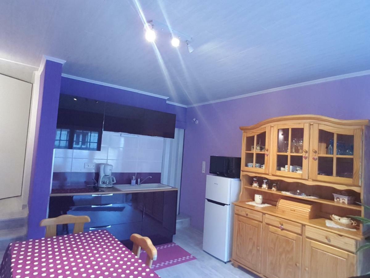 La Belle Endormie - Appartement A Fenetrange Zewnętrze zdjęcie